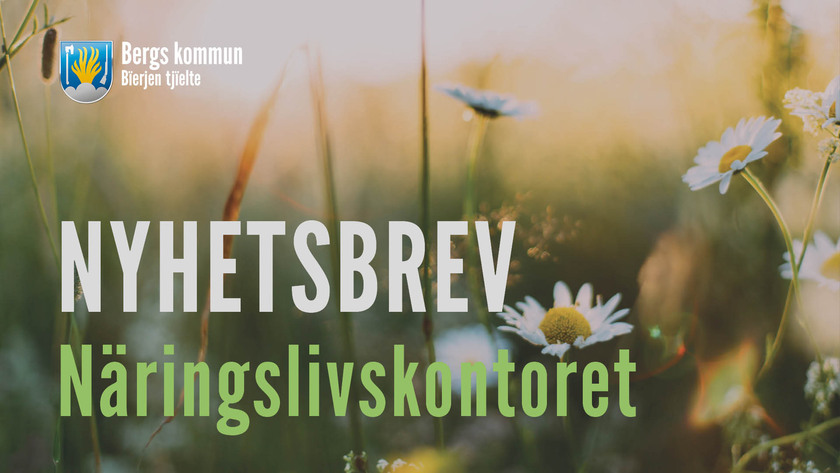Blommor i bakgrund och nyhetsbrev som text