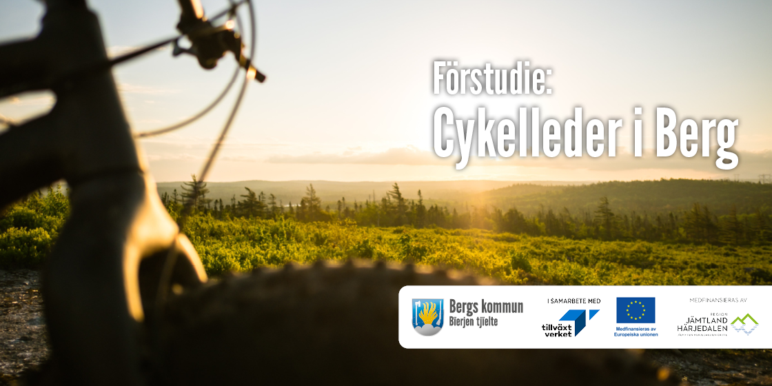 Förstudie cykel